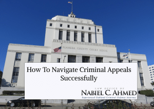 How to Navigate Criminal Appeals Successfully