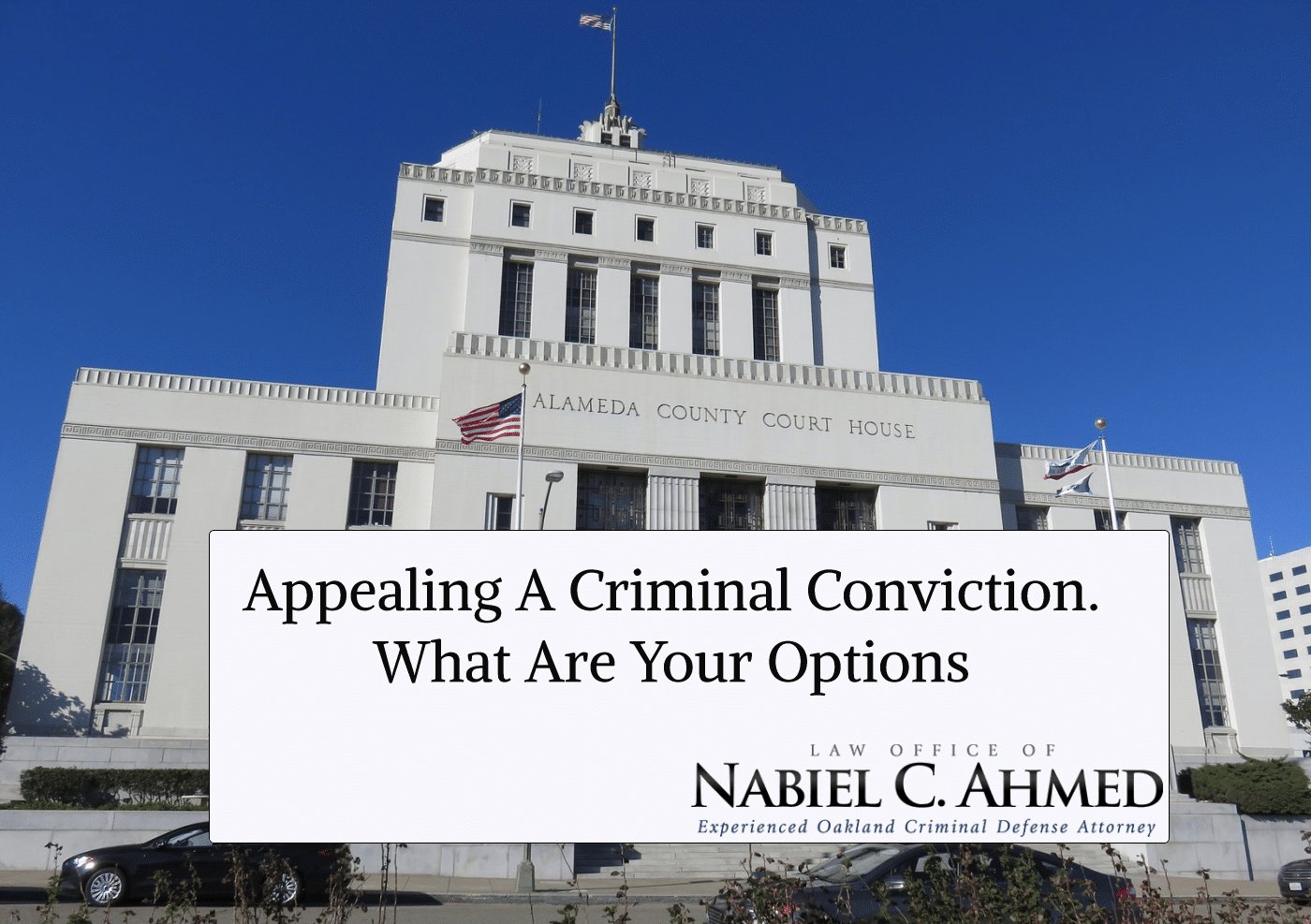 Appealing a Criminal Conviction: What Are Your Options